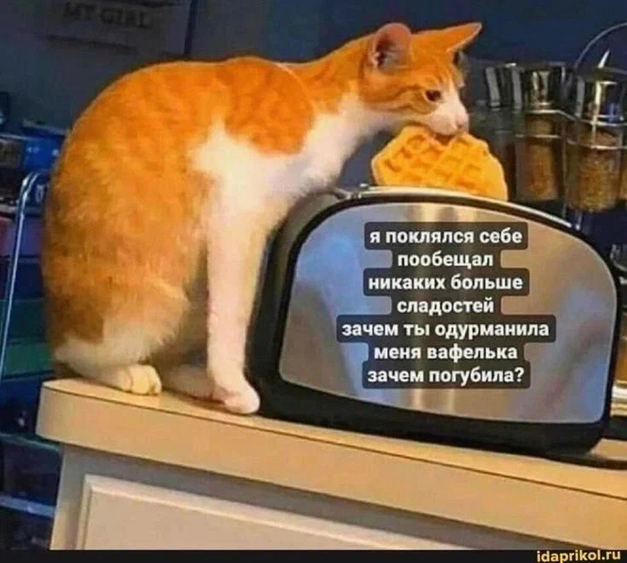 Простые, сложные, медленные, быстрые – зачем разделять углеводы и что это дает