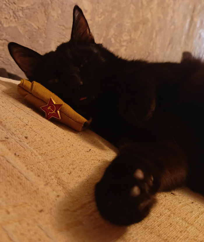 � ����������� ���������� ������, ������!