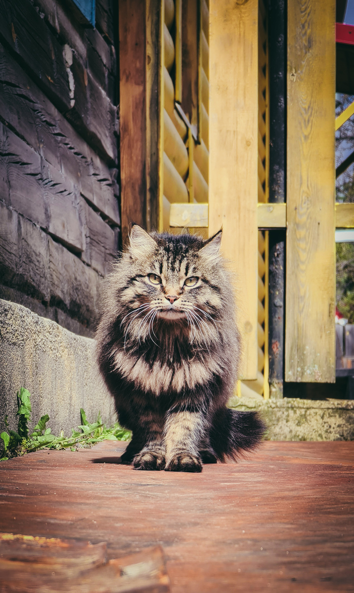 Дачный сезон