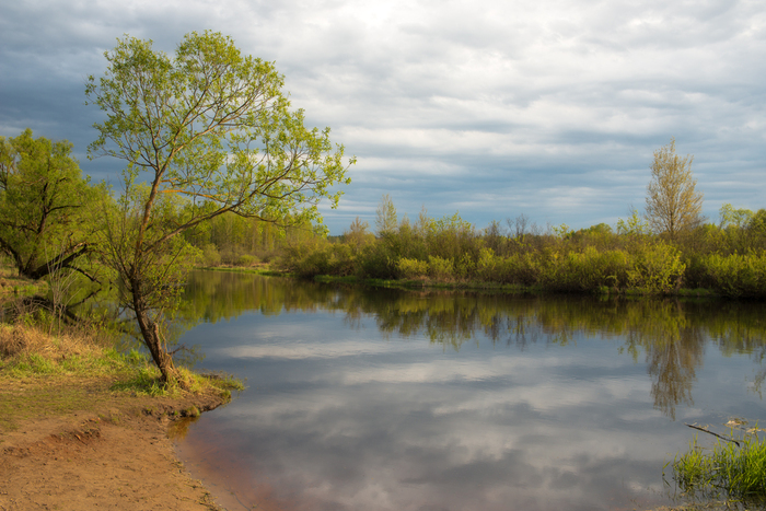 ���� ���. �. ����- �������