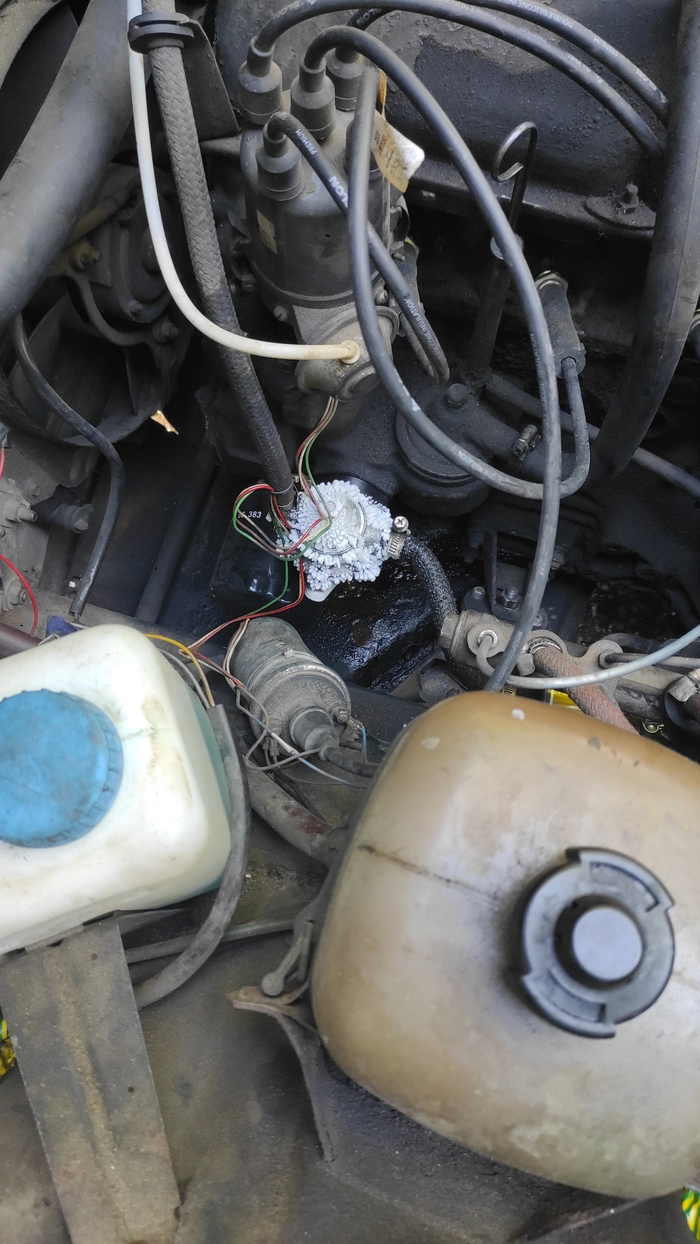 Снежный ёжик