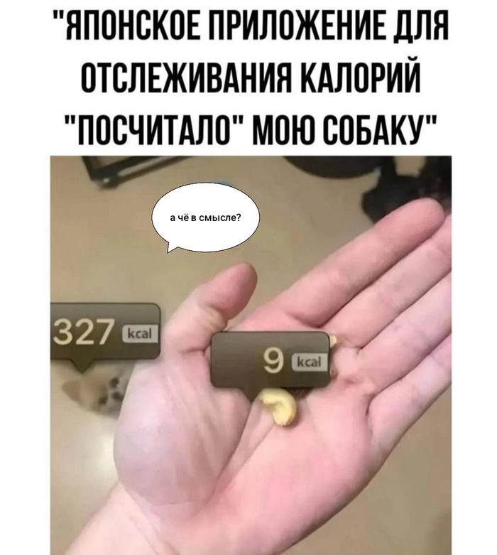     , , Telegram (), , ,  , 