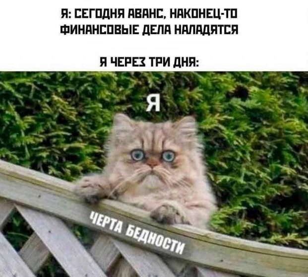 ����� �������� �� �������