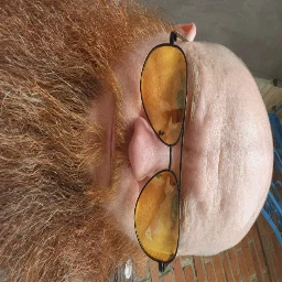 OrangeFoxy