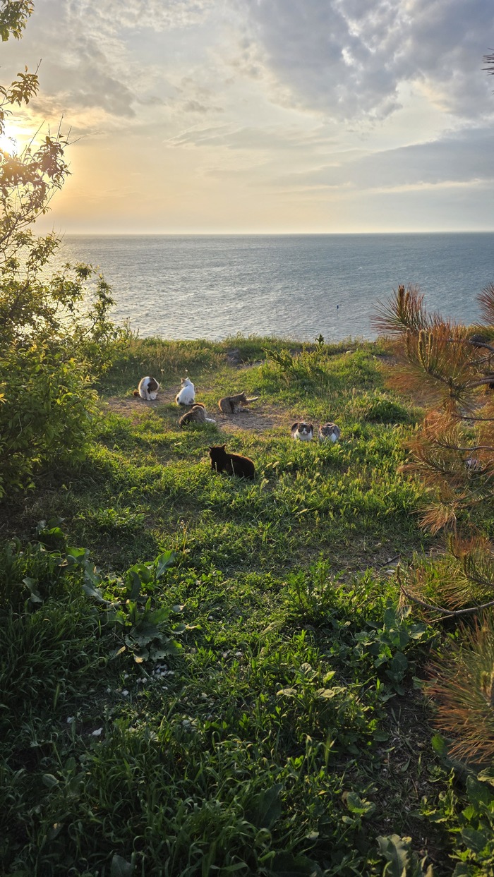 ���� � ����� 7.05.25������ �� ������