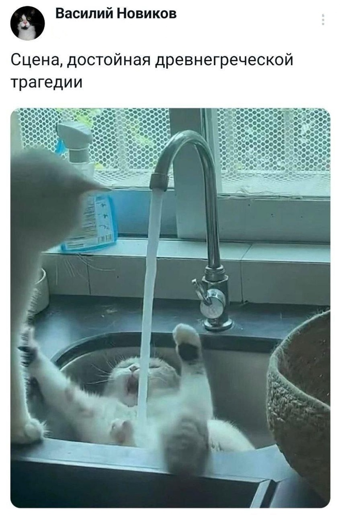    , ,   , , , , 