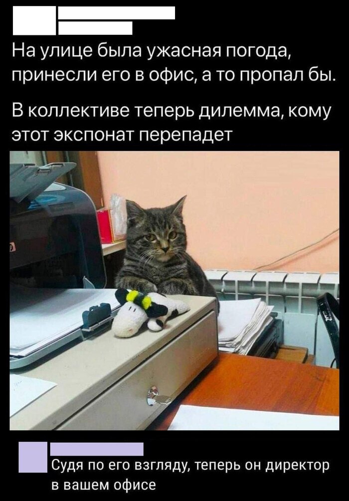  ,      , , , , , 