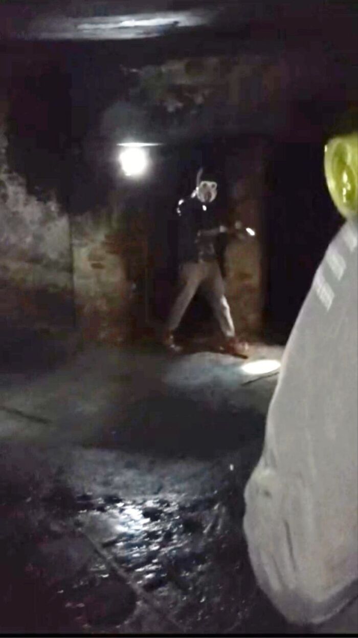     ,   , , , , ,   , 