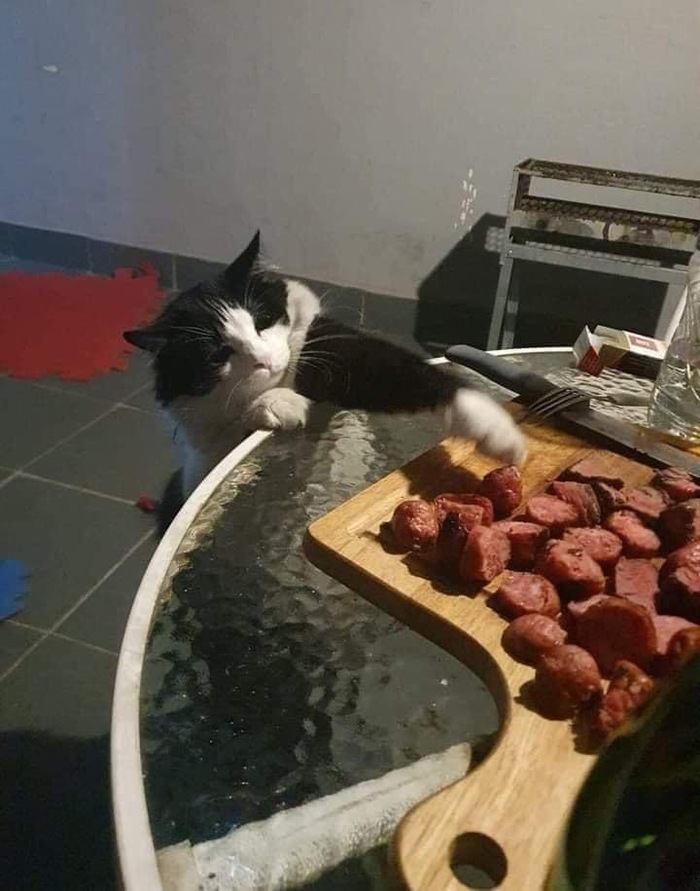   , 