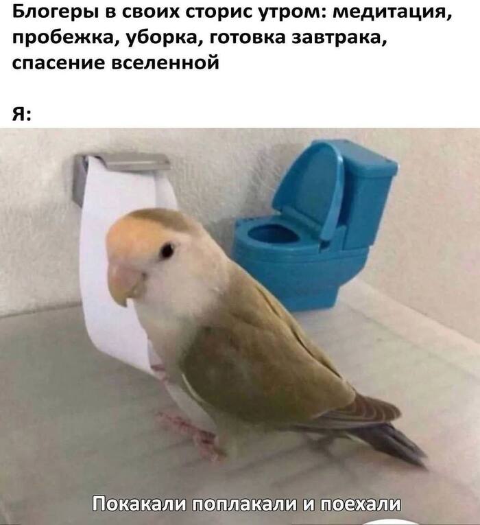  ,      ,   , ,  