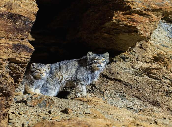 Это наш дом