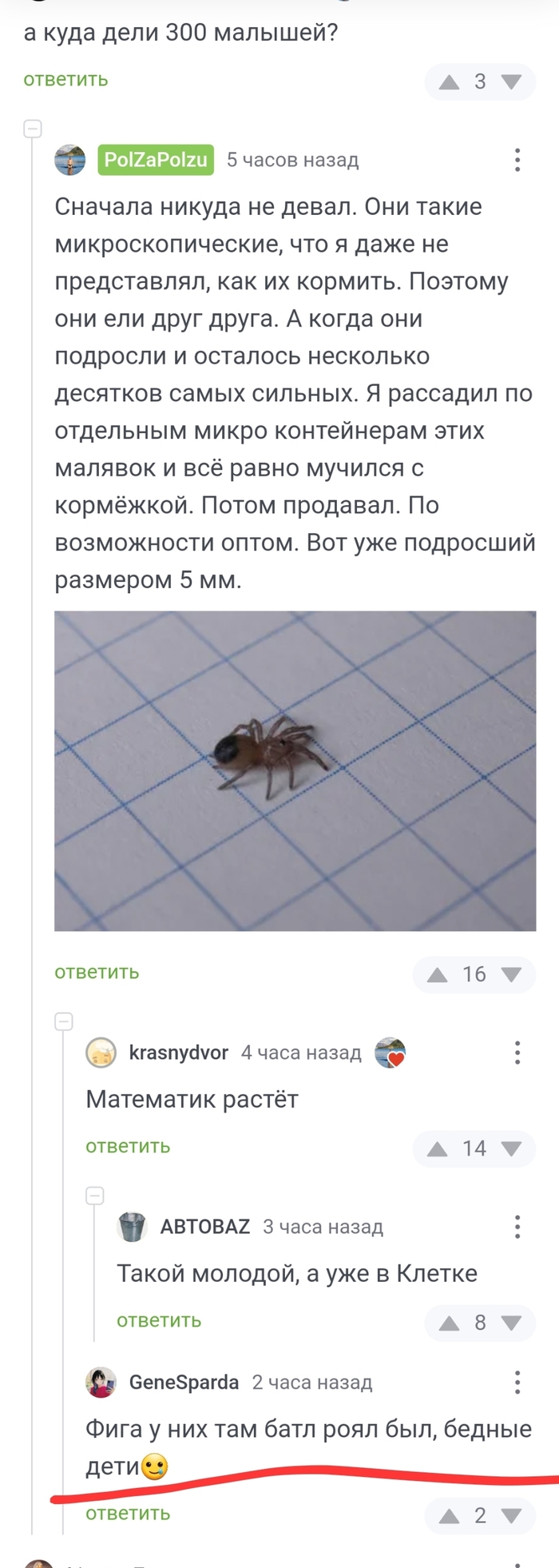        5   -  -, , , , ,   , 