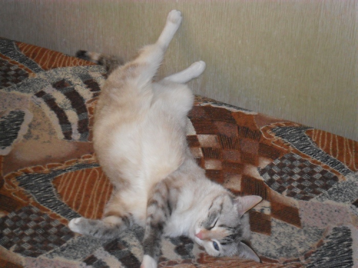    ))) , ,  ,  , 