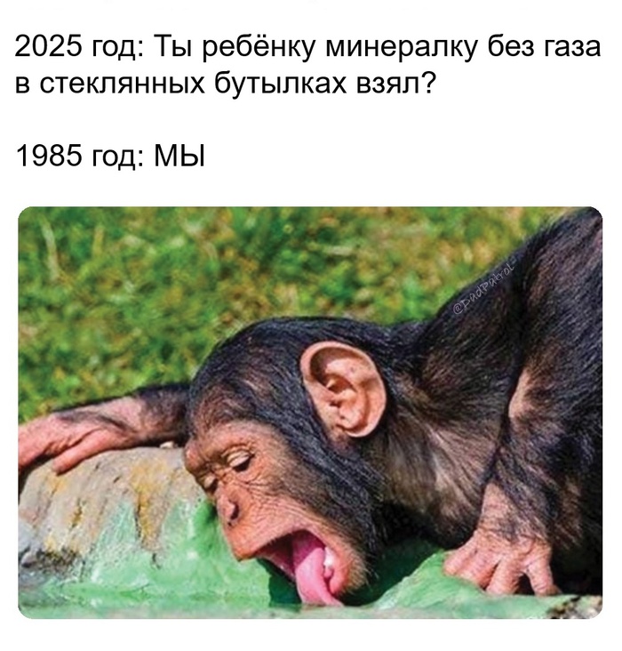  )  ,  , ,   