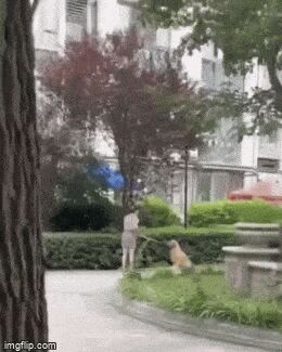   , , , 
