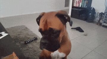   , , , 