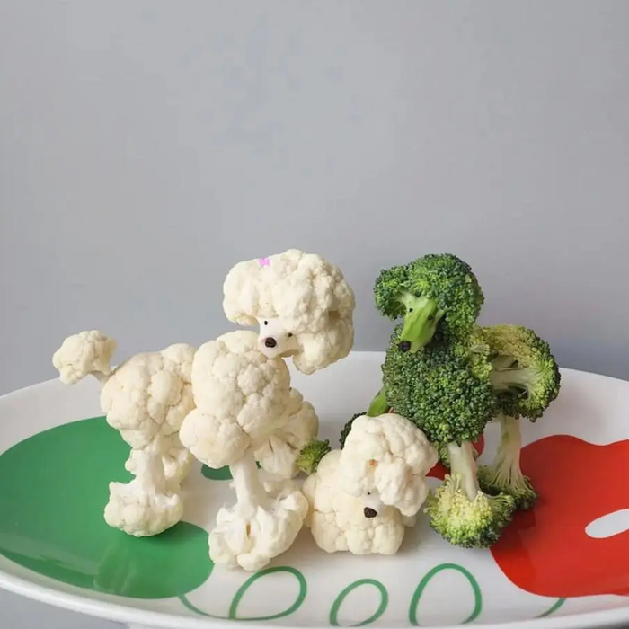 ����� ������� �� �������� � ������� �������.