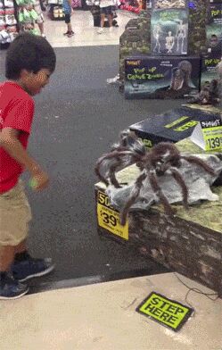    , , , 