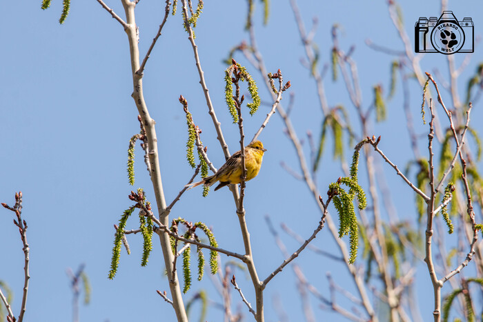 ������������ �������