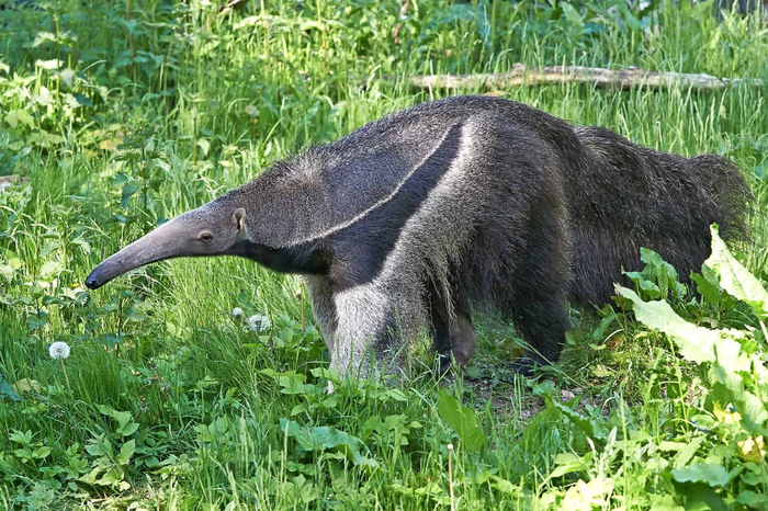    , , ,  ,  , , 