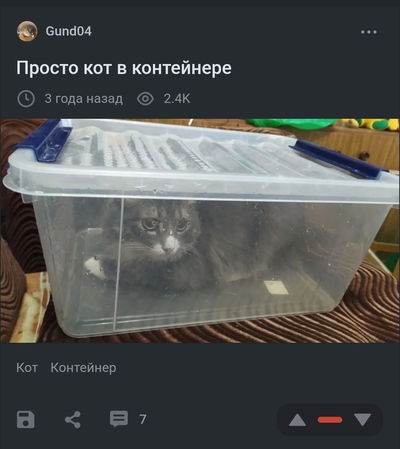 Иллюстрация к комментарию