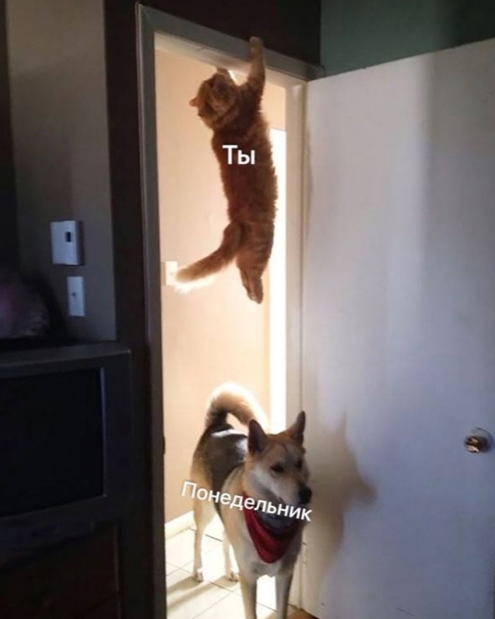 Он всё же нас настигнет