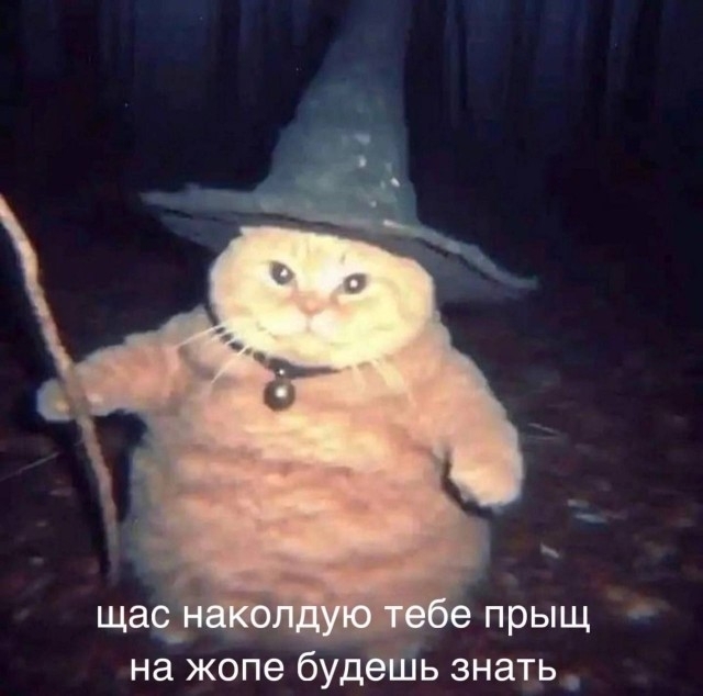 �������, ���� ��� ��������