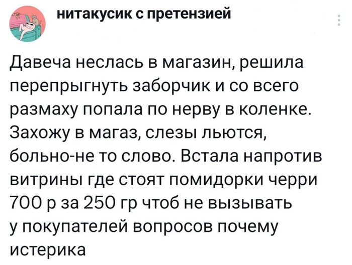   ,  , , , Telegram (),  , X (Twitter), , 