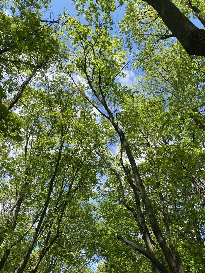 ��� ������