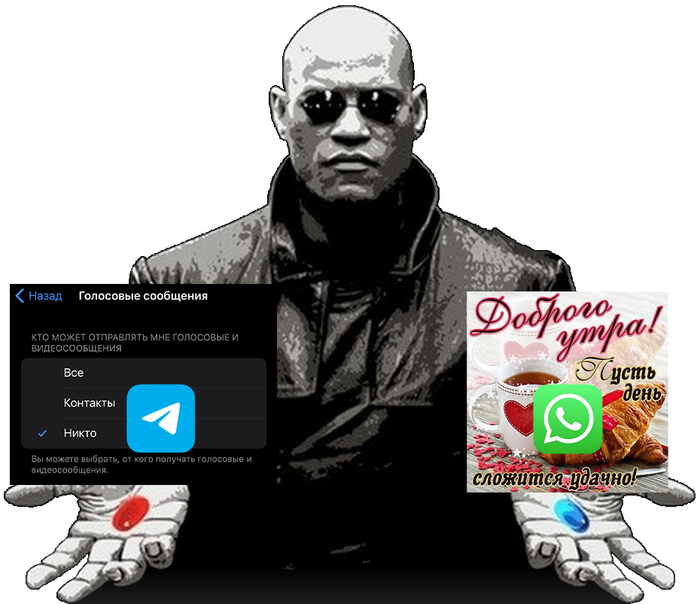      ,   ,   , , , ,  ,  ,  , IT ,  (),    ?, , Telegram, WhatsApp