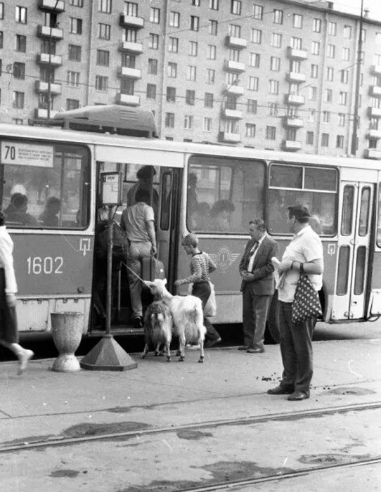 Архивное фото...