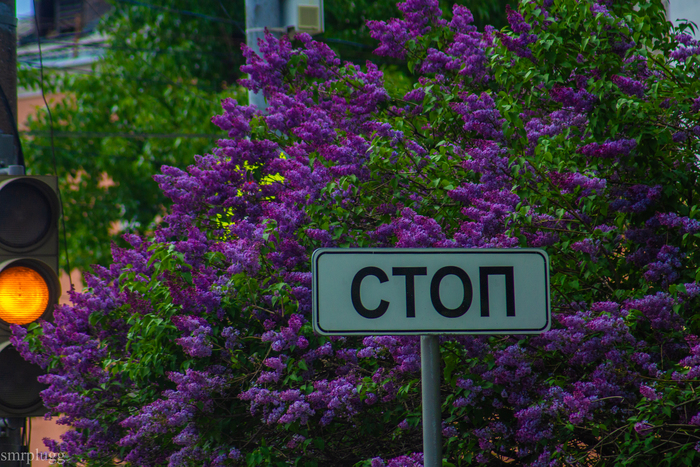 В этом что-то есть, что думаете?