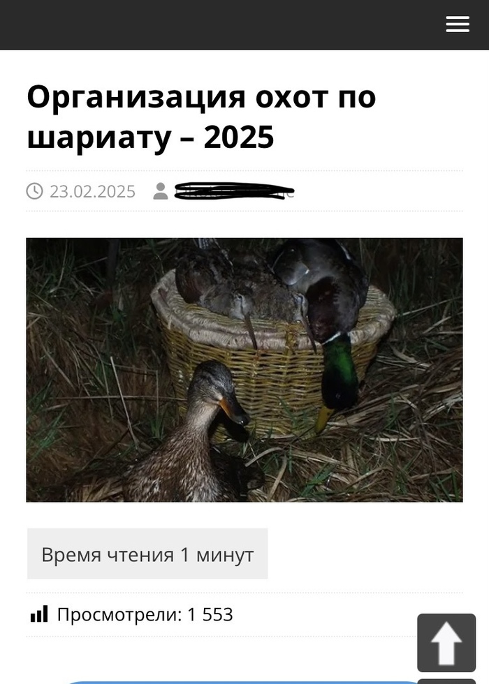    ,  , , , , , ,  , , 