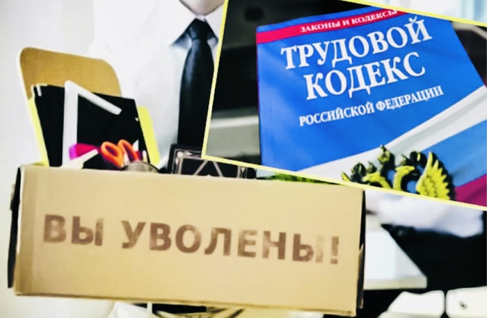   2019     ϻ .   2020           . 