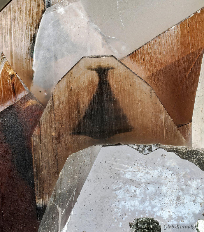 ������������ ���������� �������� �������. 