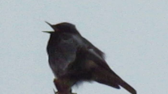    ,   , , ,   , 