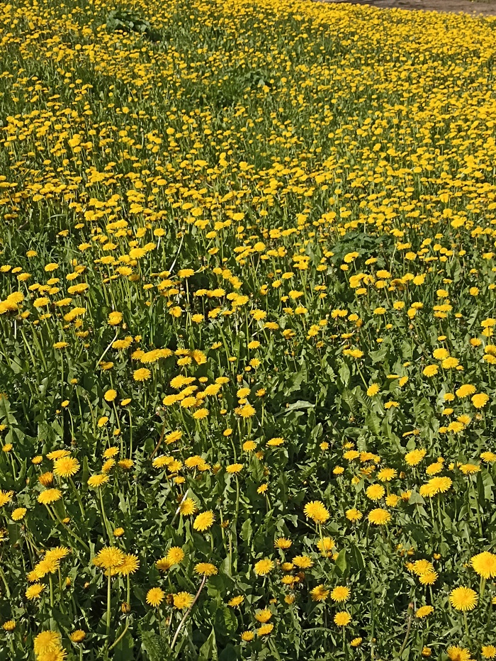    , , , 
