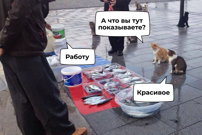         , , , ,  ,  , ,  (),  