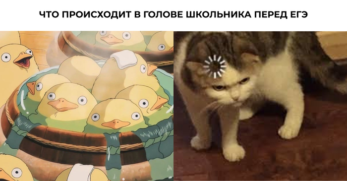   : ,     , , , , ,  