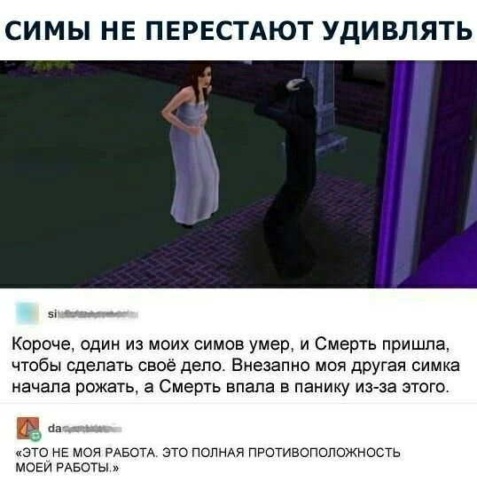  -    The Sims