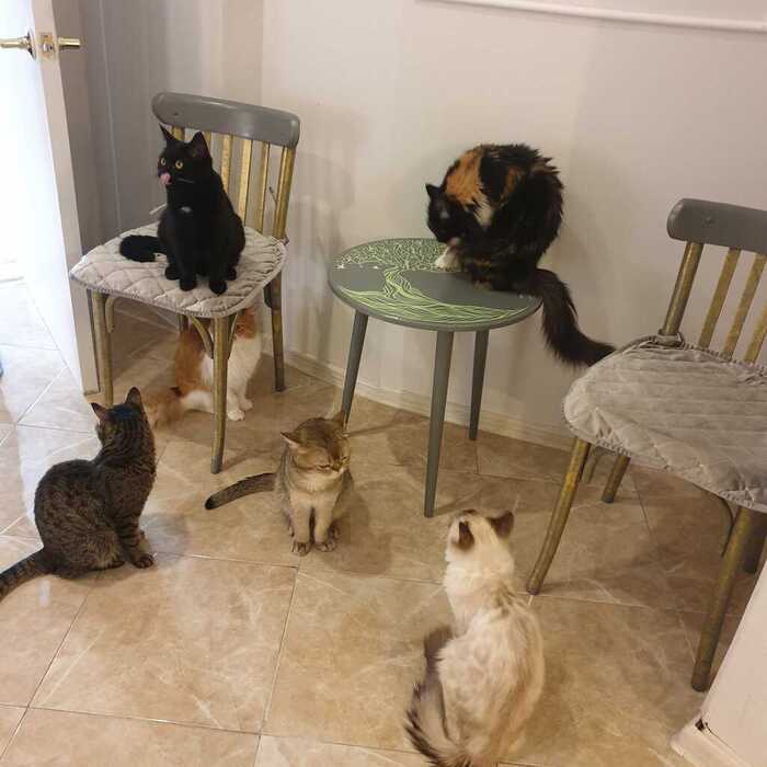 "�������� ������� �����" ������� ��� ���������