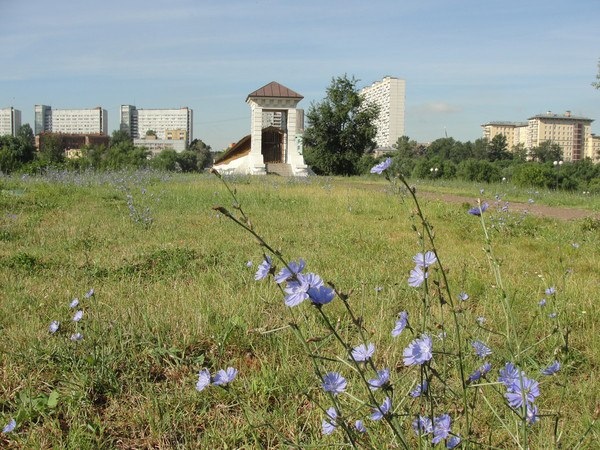 у ВДНХ вообще шикарнейший район Москвы, детей водить удобно на выставку