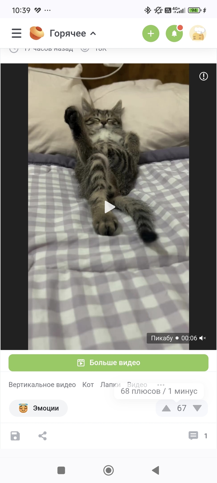 ������ �������?