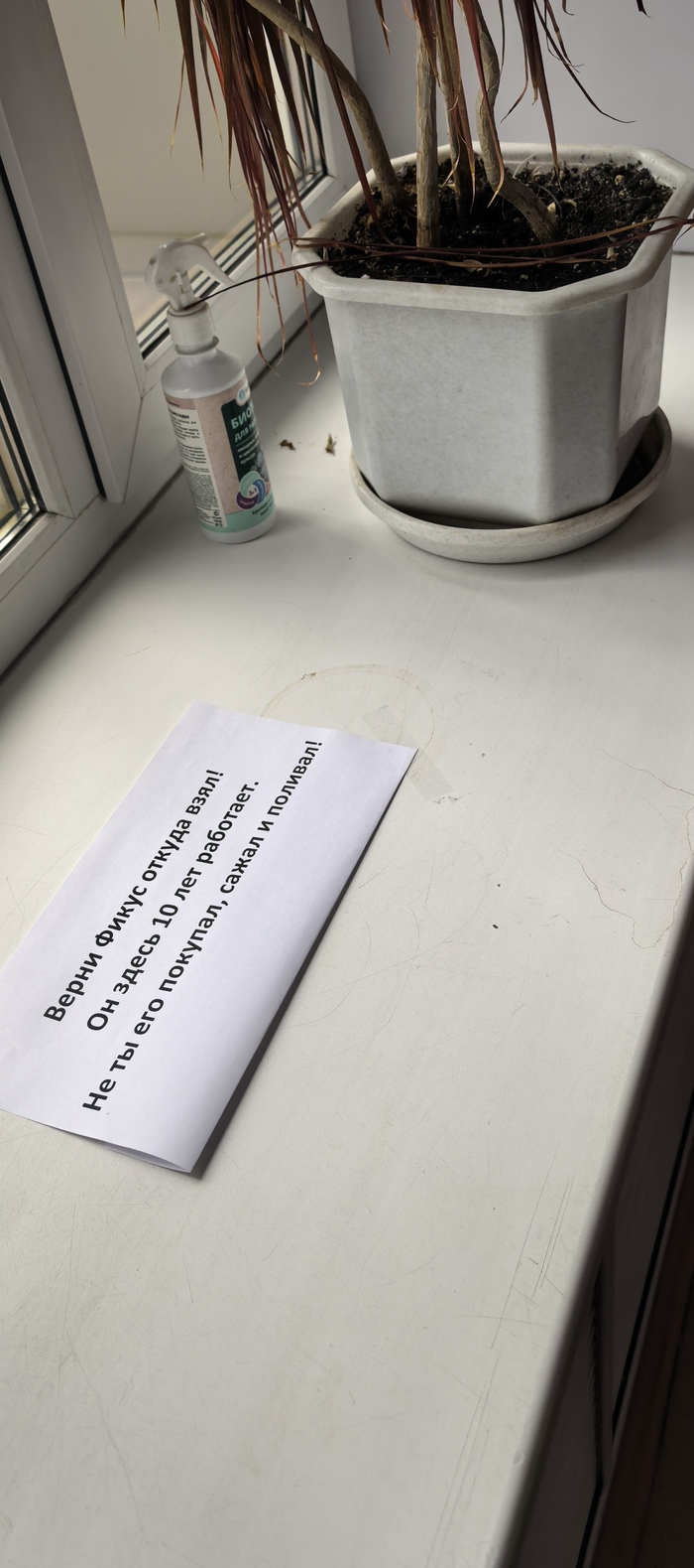 Следствие ведут колобки