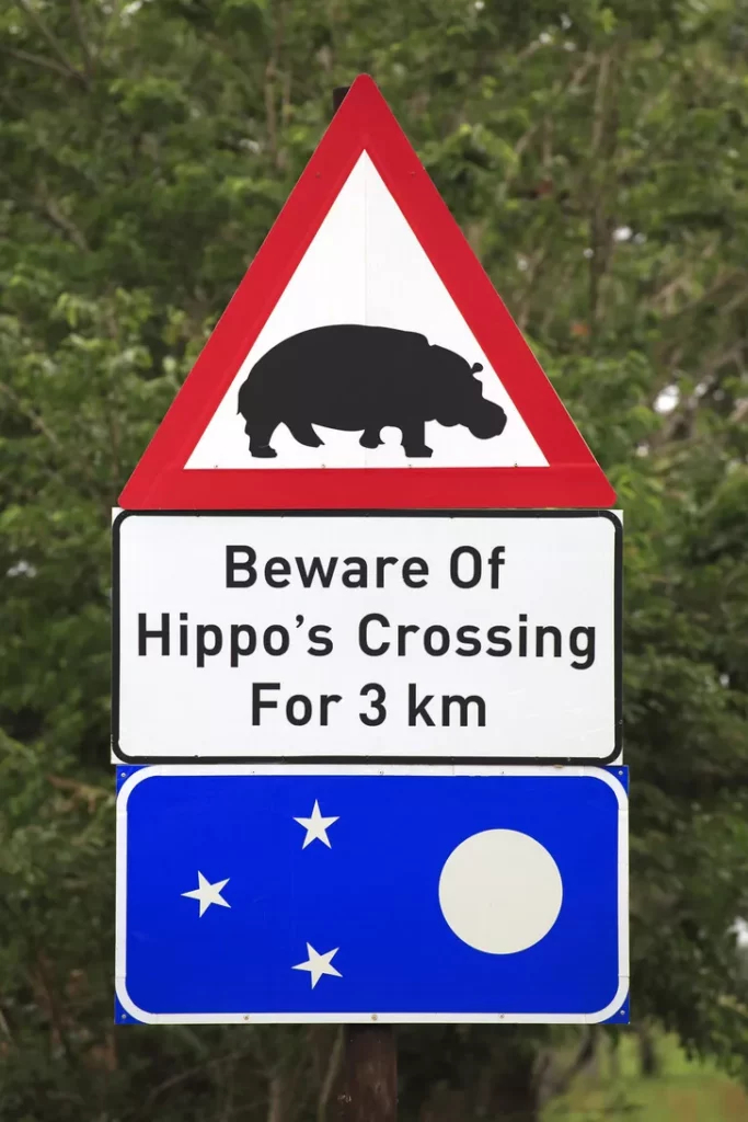 Этот знак в ЮАР означает, что на дорогу по ночам могут выходить бегемоты