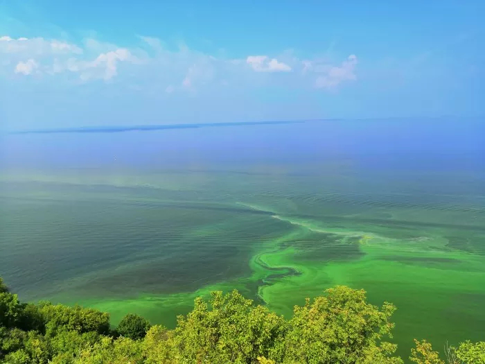 Место впадения Камы в Волгу. Зеленоватый цвет – это Волга, а дальше Кама. Фото: И. Матрёнин