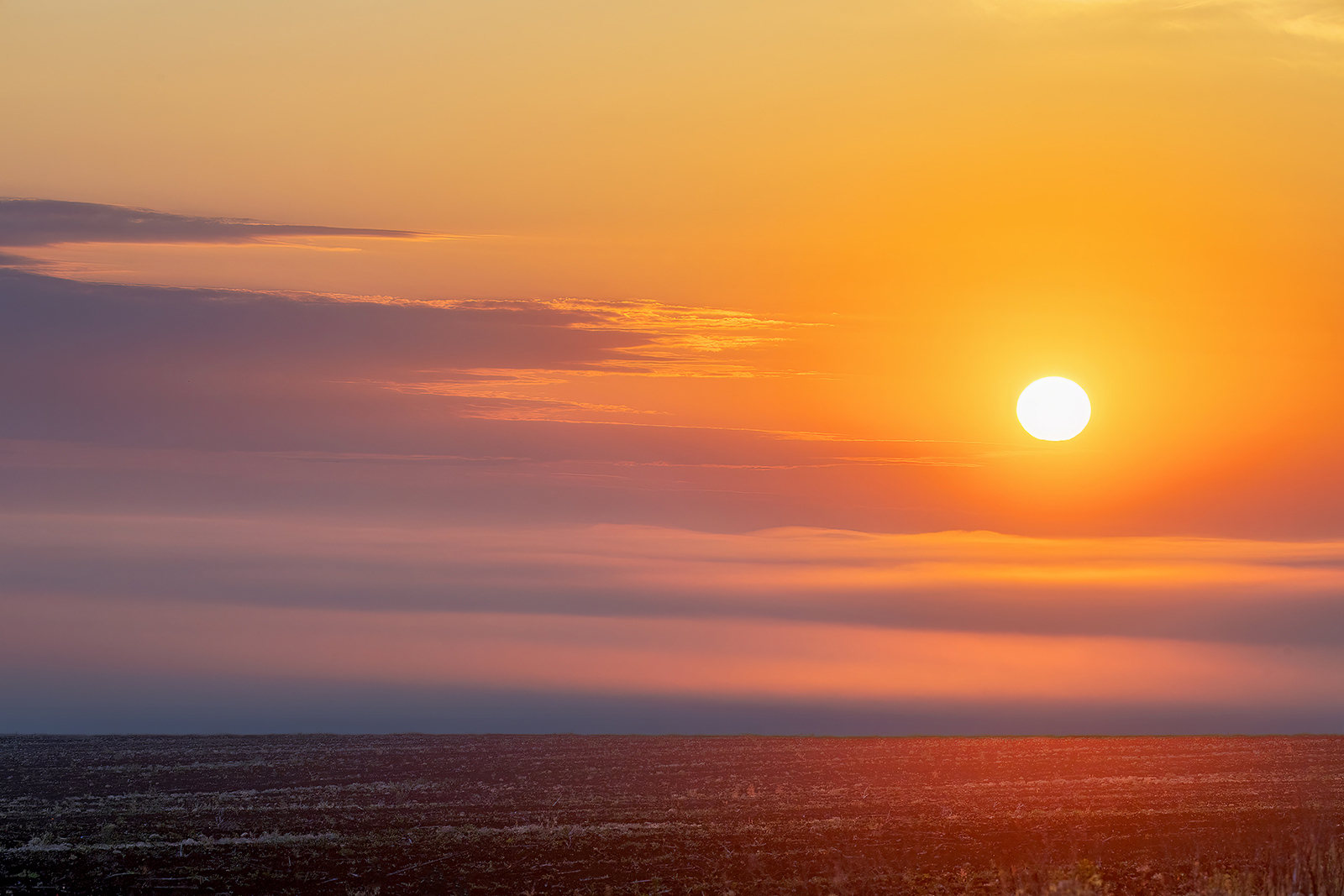 Morning in the fields - Series Don land, My, Rostov region, Steppe, Landscape, Field, Sunrise, dawn