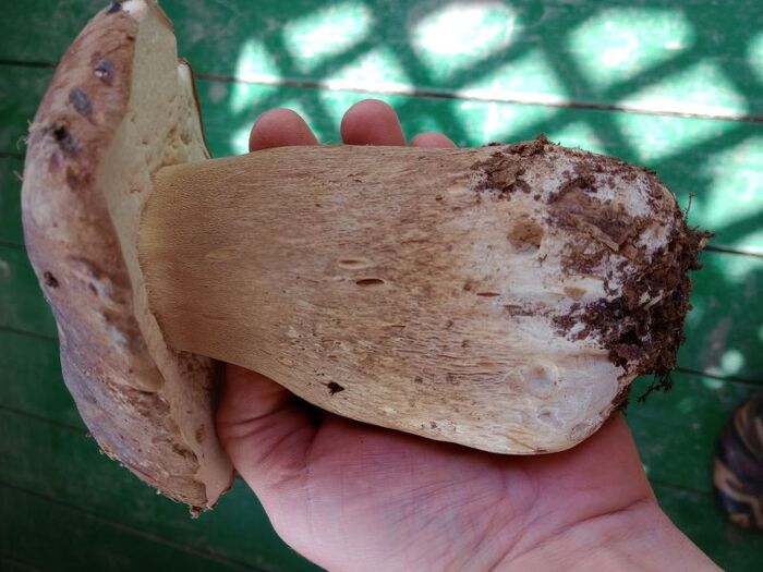 ������ � ��� ����� ����� � ����!