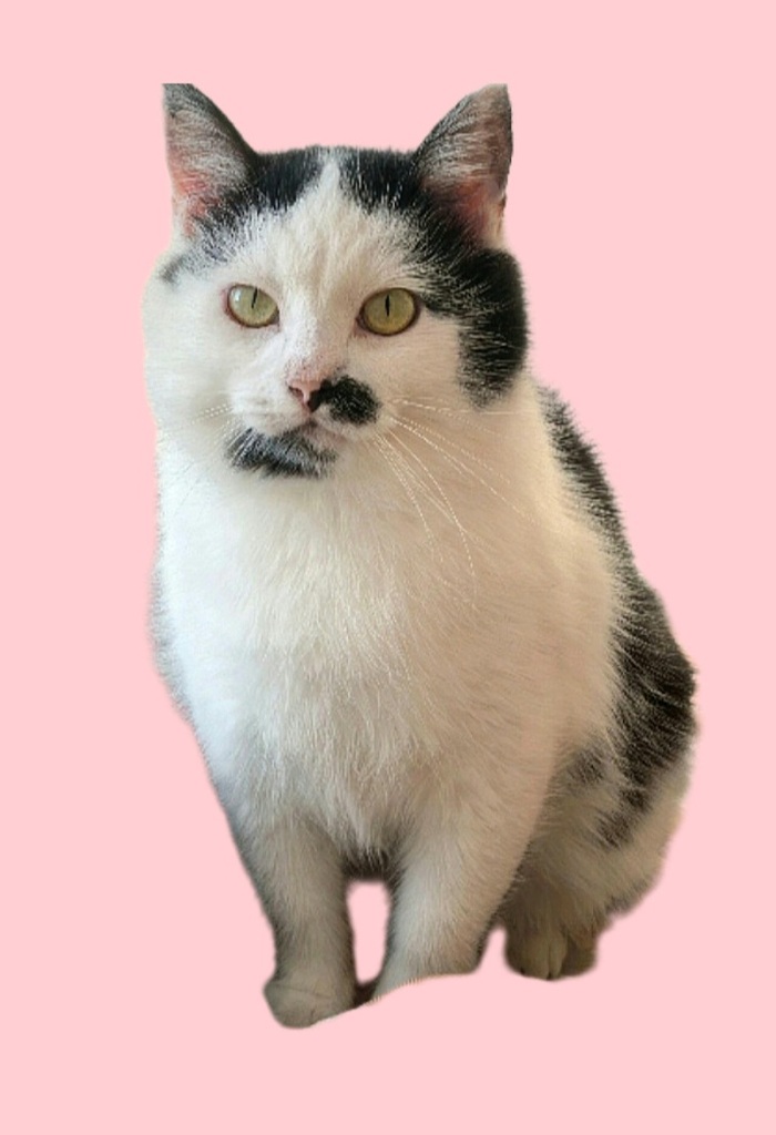 ""     .    .     ,  , ,   , ,  ,  , 