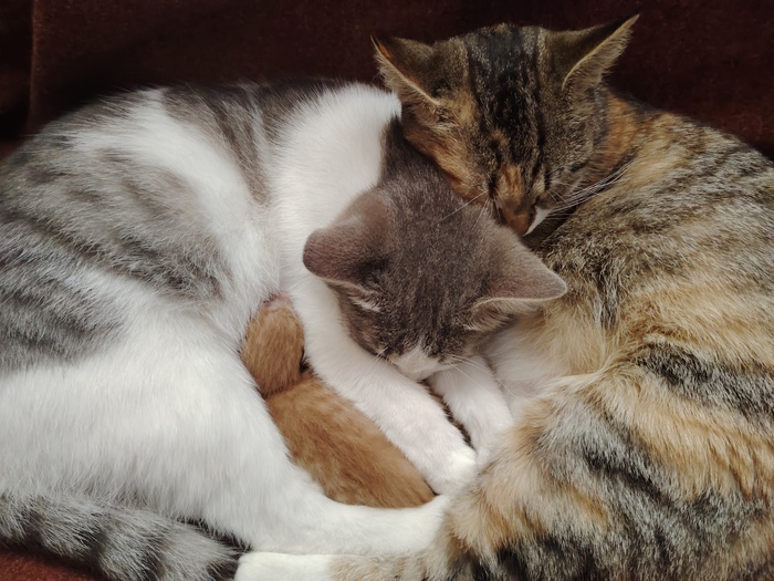 Три поколения: Мама, Дочь и внук очень мило